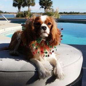 Meet your Posher, Beverly